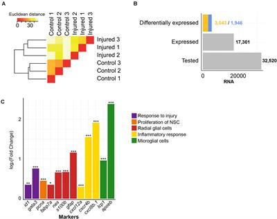 Multi-Dimensional Transcriptome Analysis Reveals Modulation of Cholesterol Metabolism as Highly Integrated Response to Brain Injury